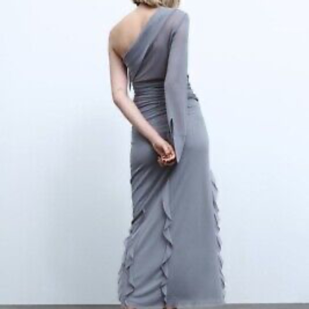 ZARA Ruffled Tulle Skirt - Picture 10 of 14